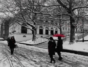 Snow by @Doug8888