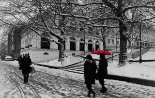 Snow by @Doug8888